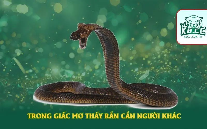 trong-giac-mo-thay-ran-can-nguoi-khac